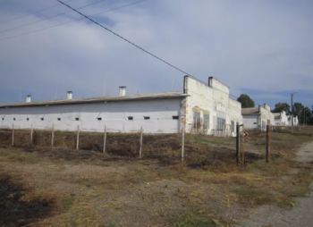 Бизнес по выращиванию, забою и переработке птицы